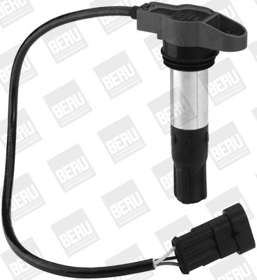 Aizdedzes spole BorgWarner (BERU) ZSE130