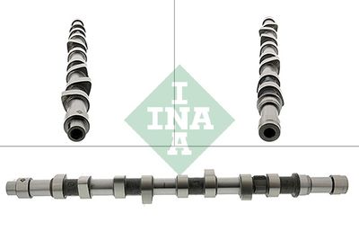 Распредвал Schaeffler INA 428 0109 10