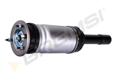 Pneimoatsperes statnis BREMSI SA2795