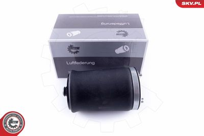 Pneimoatspere, Balstiekārta ESEN SKV 58SKV004