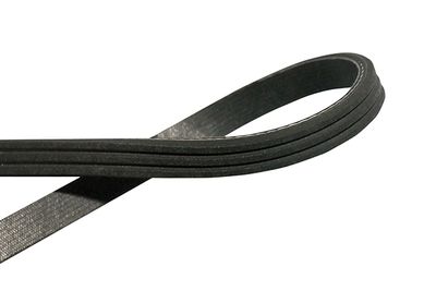 Ķīļrievu siksna KAVO PARTS DMV-6564