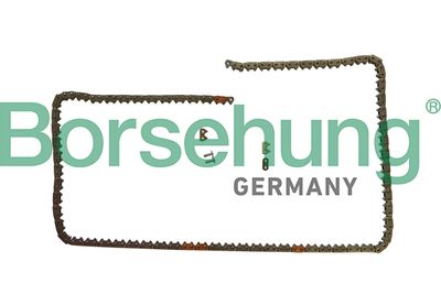 Sadales vārpstas piedziņas ķēde Borsehung B1C031