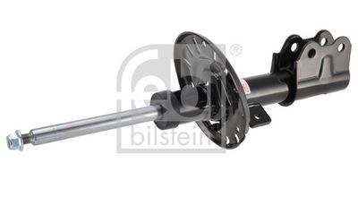 Amortizators FEBI BILSTEIN 1002296