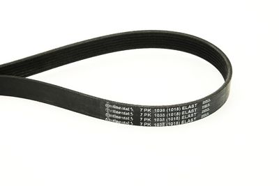 Поликлиновой ремень CONTINENTAL CTAM 7PK1038 ELAST