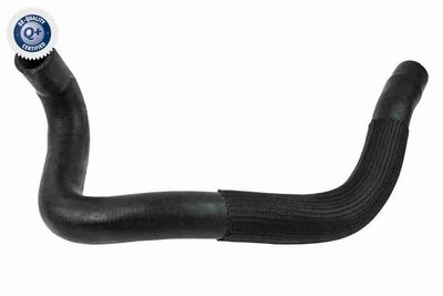 Шланг радиатора VAICO V22-0731