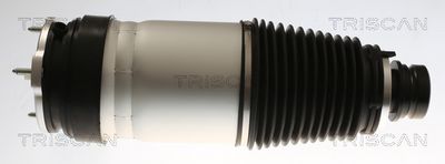 Pneimoatspere, Balstiekārta TRISCAN 8720 81101
