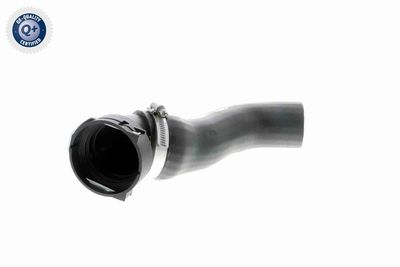Трубка нагнетаемого воздуха VAICO V201620