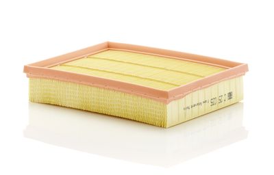 Воздушный фильтр MANN-FILTER C 25 035