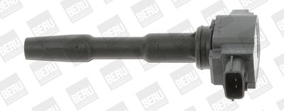 Aizdedzes spole BorgWarner (BERU) ZSE131