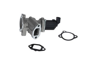 Клапан возврата ОГ KAMOKA 19018