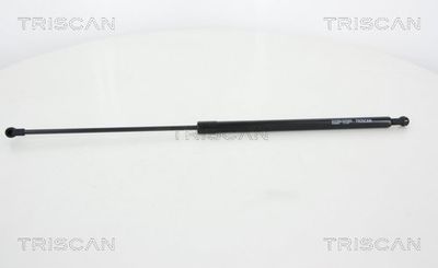 Gāzes atspere, Bagāžas/Kravas nodalījuma vāks TRISCAN 871028243