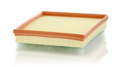 Воздушный фильтр MANN-FILTER C 24 017