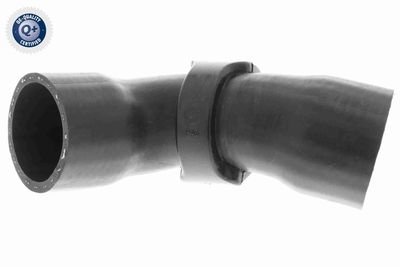 Трубка нагнетаемого воздуха VAICO V42-0613