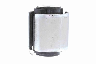 Piekare, Šķērssvira VAICO V103677