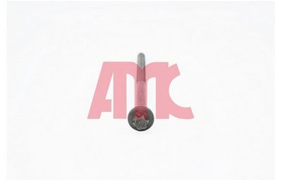 Комплект болтов головки цилидра AMC 258723