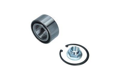 Комплект подшипника ступицы колеса KAMOKA 5600153