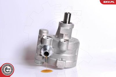 Hidrosūknis, Stūres iekārta ESEN SKV 10SKV180