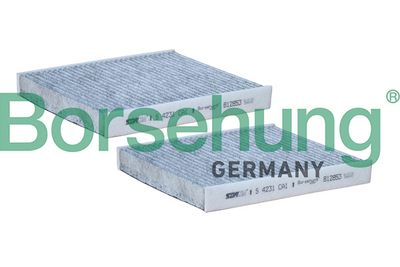 Фильтр, воздух во внутренном пространстве Borsehung B12853