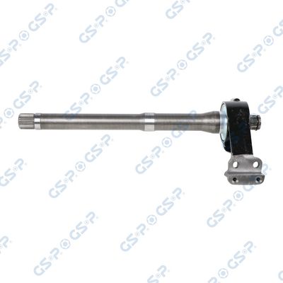 Starpvārpsta GSP 201695