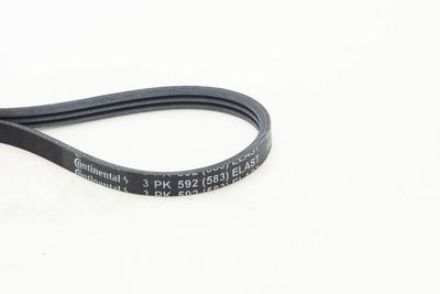 Ķīļrievu siksna CONTINENTAL CTAM 3PK592 ELAST