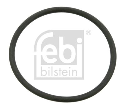Blīvgredzens, Grozāmass FEBI BILSTEIN 04319