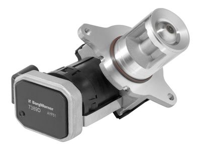 Клапан возврата ОГ BorgWarner 7389D