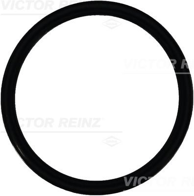 Blīvgredzens VICTOR REINZ 40-76546-00