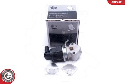 Клапан возврата ОГ ESEN SKV 14SKV008