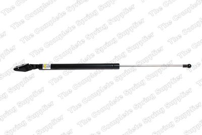Gāzes atspere, Bagāžas/Kravas nodalījuma vāks LESJOFORS 8155415