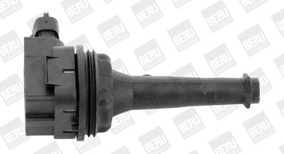 Катушка зажигания BorgWarner (BERU) ZSE019