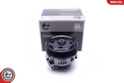 Hidrosūknis, Stūres iekārta ESEN SKV 10SKV309