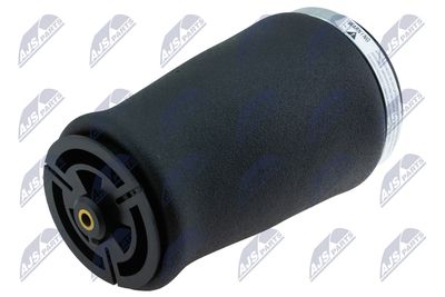 Pneimoatspere, Balstiekārta NTY EZC-BM-315
