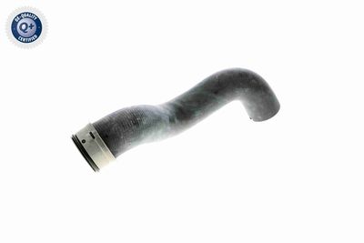 Шланг радиатора VAICO V301656