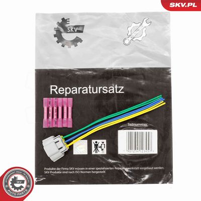 ESEN SKV 53SKV277 Vadu remkomplekts, Pamatlukturis