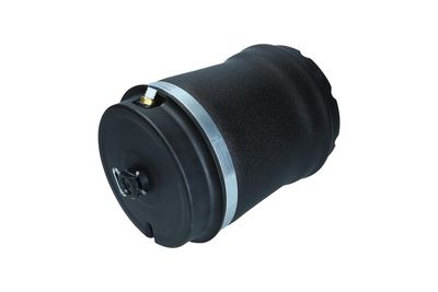 Pneimoatspere, Balstiekārta KAMOKA 2079032