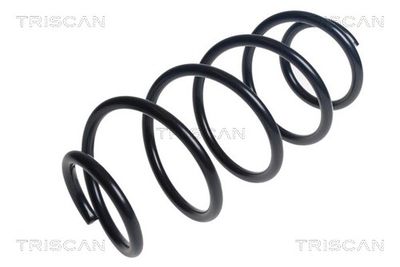Balstiekārtas atspere TRISCAN 875 028 301