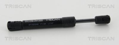 Gāzes atspere, Bagāžas/Kravas nodalījuma vāks TRISCAN 871023248