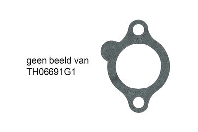 Termostats, Dzesēšanas šķidrums GATES TH06691G1