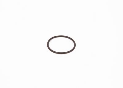 Резиновое кольцо BOSCH F 00R 0P0 166