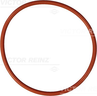 Уплотнительное кольцо VICTOR REINZ 40-76169-10