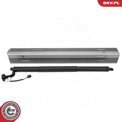 Электромотор, задняя дверь ESEN SKV 52SKV992