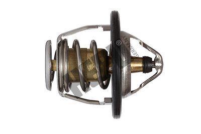 Термостат, охлаждающая жидкость HEPU TM1326