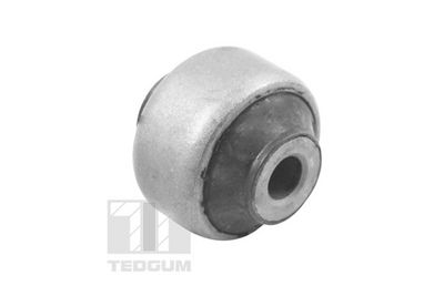 Piekare, Šķērssvira TEDGUM 00162134