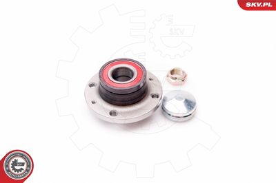 Комплект подшипника ступицы колеса ESEN SKV 29SKV038
