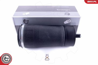Pneimoatspere, Balstiekārta ESEN SKV 58SKV016