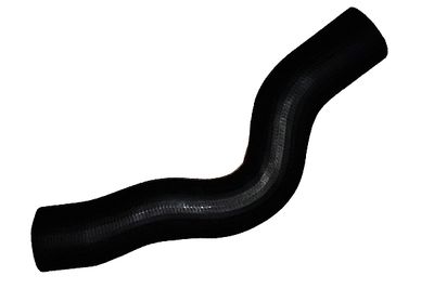 Pūtes sistēmas gaisa caurule BUGIAD 88629