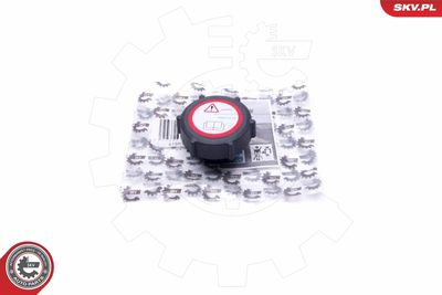 Vāciņš, Dzesēšanas šķidruma rezervuārs ESEN SKV 61SKV006