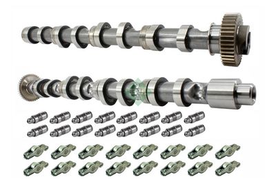 Комплект распредвала Schaeffler INA 428 0059 30