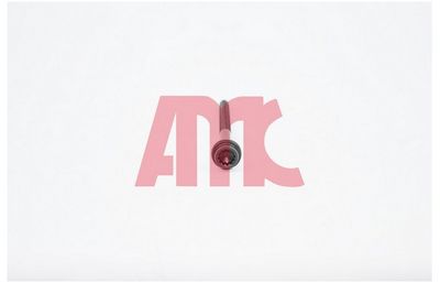 Комплект болтов головки цилидра AMC 258155