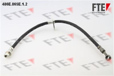 Тормозной шланг FTE 9240693